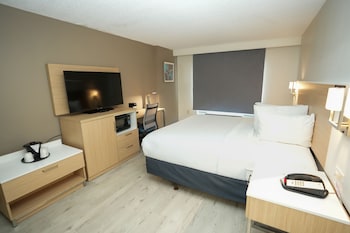 Room, 1 Queen Bed, Non Smoking (Mobility Accessible)
