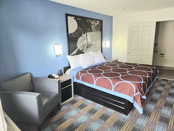 Room, 1 King Bed, Accessible, Non Smoking