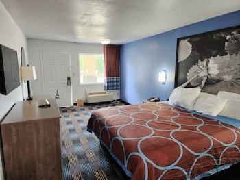 Room, 1 King Bed, Smoking