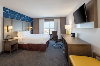 Suite, 1 King Bed with Sofa bed, Non Smoking