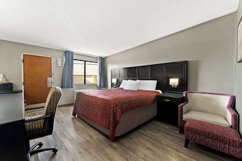 Room, 1 King Bed