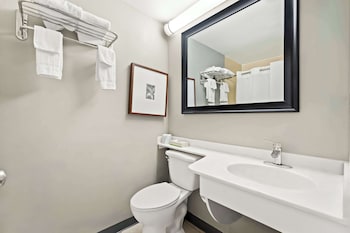 Room, 1 King Bed