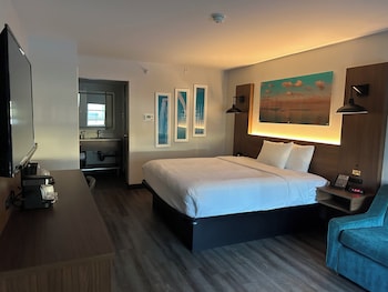 Room, 1 King Bed, Accessible, Non Smoking (Mobility, Bathtub w/Grab Bars)