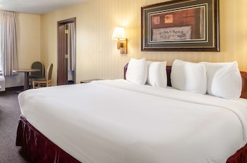 Room, 1 King Bed, Non Smoking (Executive Suite)