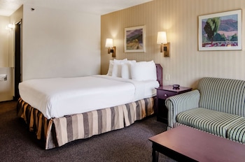 Room, 1 Queen Bed, Non Smoking
