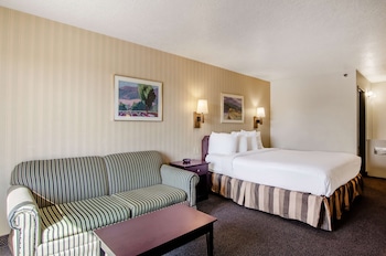 Room, 1 Queen Bed, Non Smoking