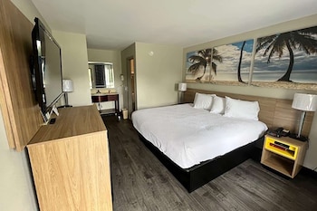 Room, 1 King Bed, Non Smoking