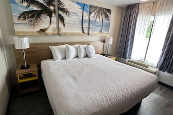 Room, 1 King Bed, Smoking