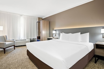 Room, 1 King Bed, Non Smoking