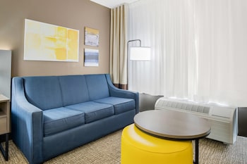 Standard Room, 1 King Bed with Sofa bed, Non Smoking