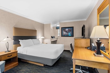 Standard Room, 1 Queen Bed, Accessible, Bathtub