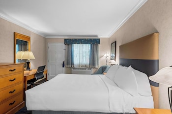 Standard Room, 1 Queen Bed, Accessible, Bathtub