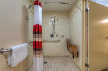 Superior Room, 1 King Bed, Accessible, Non Smoking (Roll-In Shower)