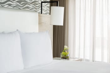 Room, 1 King Bed, Terrace
