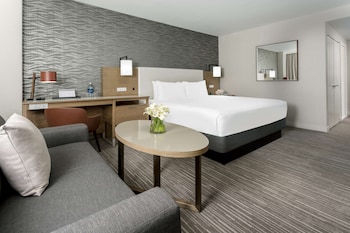 Standard Room, 1 King Bed, Accessible Shower