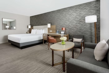 Room, 1 King Bed, Terrace