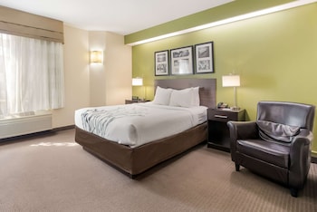 Room, 1 Queen Bed, Accessible, Non Smoking