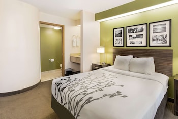 Standard Room, 1 Queen Bed, Non Smoking