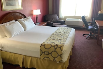 Room, 1 King Bed, Non Smoking (Dog-friendly)