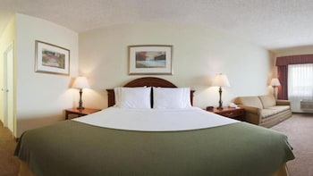 Deluxe Room, 1 King Bed, Non Smoking