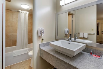Standard Double Room, 2 Double Beds, Non Smoking