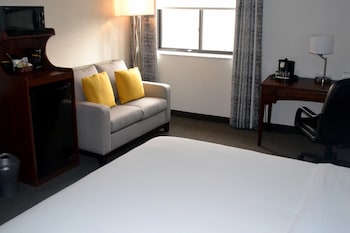 Executive Room, 1 King Bed (Executive Elite King with Sleeper Sof)