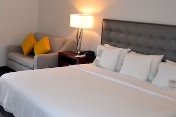 Executive Room, 1 King Bed (Executive Elite King with Sleeper Sof)