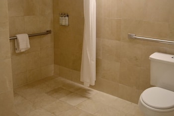 Room, 1 King Bed, Accessible (Wheelchair Access Roll in Shower King)