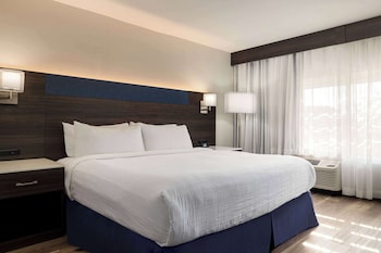 Room, 1 King Bed, Accessible, Non Smoking (Bathtub w/ Grab Bars)