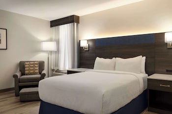 Room, 1 Double Bed, Accessible, Non Smoking (Roll-In Shower)