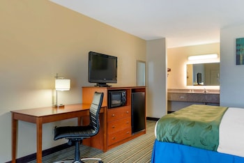 Standard Room, 1 King Bed, Non Smoking