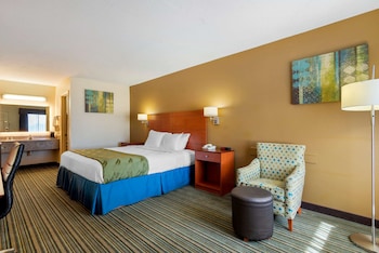 Standard Room, 1 King Bed, Non Smoking