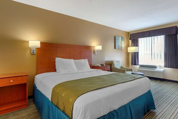 Standard Room, 1 King Bed, Non Smoking