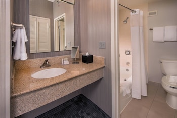 Suite, Multiple Beds, Hearing Accessible