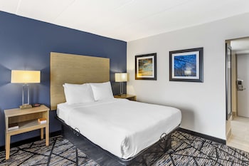 Standard Room, 1 Queen Bed, Non Smoking, Refrigerator & Microwave