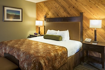 Standard Room, 1 King Bed, Accessible, Courtyard View