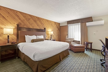 Standard Room, 1 King Bed, Accessible, Courtyard View