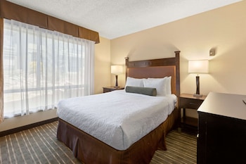 Standard Room, 1 Queen Bed, Refrigerator & Microwave, Mountain View
