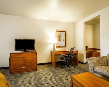 Executive Room, 1 King Bed