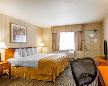 Executive Room, 1 King Bed