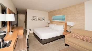 Standard Room, 1 King Bed with Sofa bed