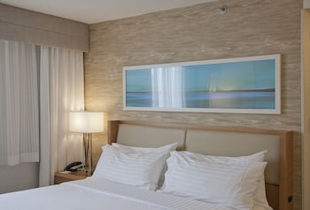 Standard Room, 1 King Bed, Accessible (Communications, Roll-In Shower)