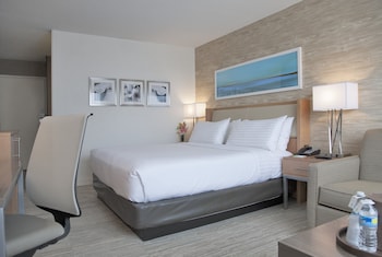 Standard Room, 1 King Bed with Sofa bed