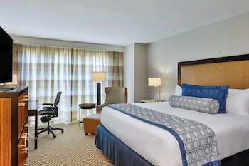 Room, 1 King Bed