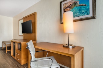 Deluxe Room, 1 King Bed with Sofa bed, Balcony, Oceanfront