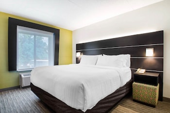 Suite, 1 King Bed with Sofa bed (Accessible Tub)