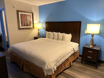 Standard Room, 1 King Bed, Non Smoking