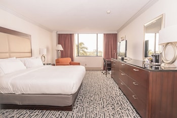 Room, 1 King Bed, Accessible (Mobility & Hearing, Roll-in Shower)
