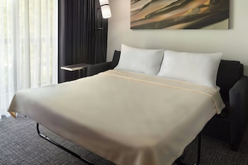Suite, 1 King Bed with Sofa bed