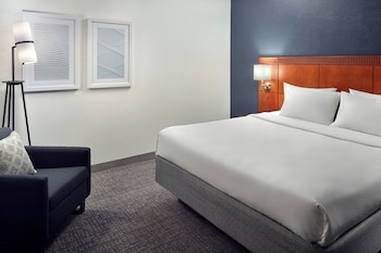 Suite, 1 King Bed with Sofa bed